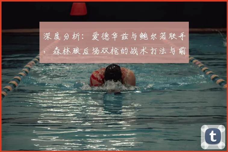 深度分析：爱德华兹与鲍尔若联手，森林狼后场双枪的战术打法与前景展望