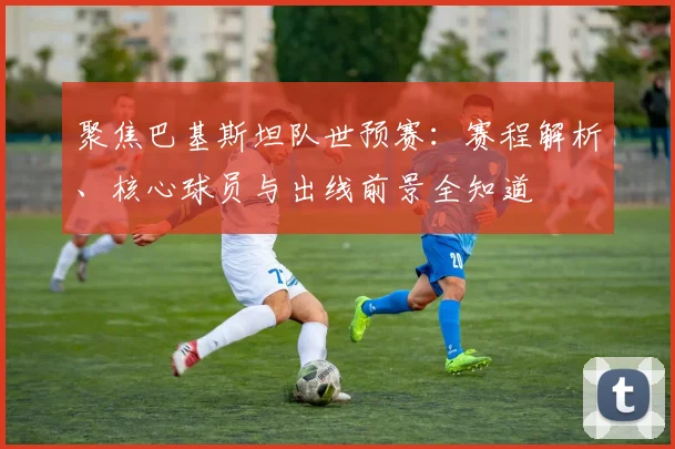 聚焦巴基斯坦队世预赛:赛程解析、核心球员与出线前景全知道